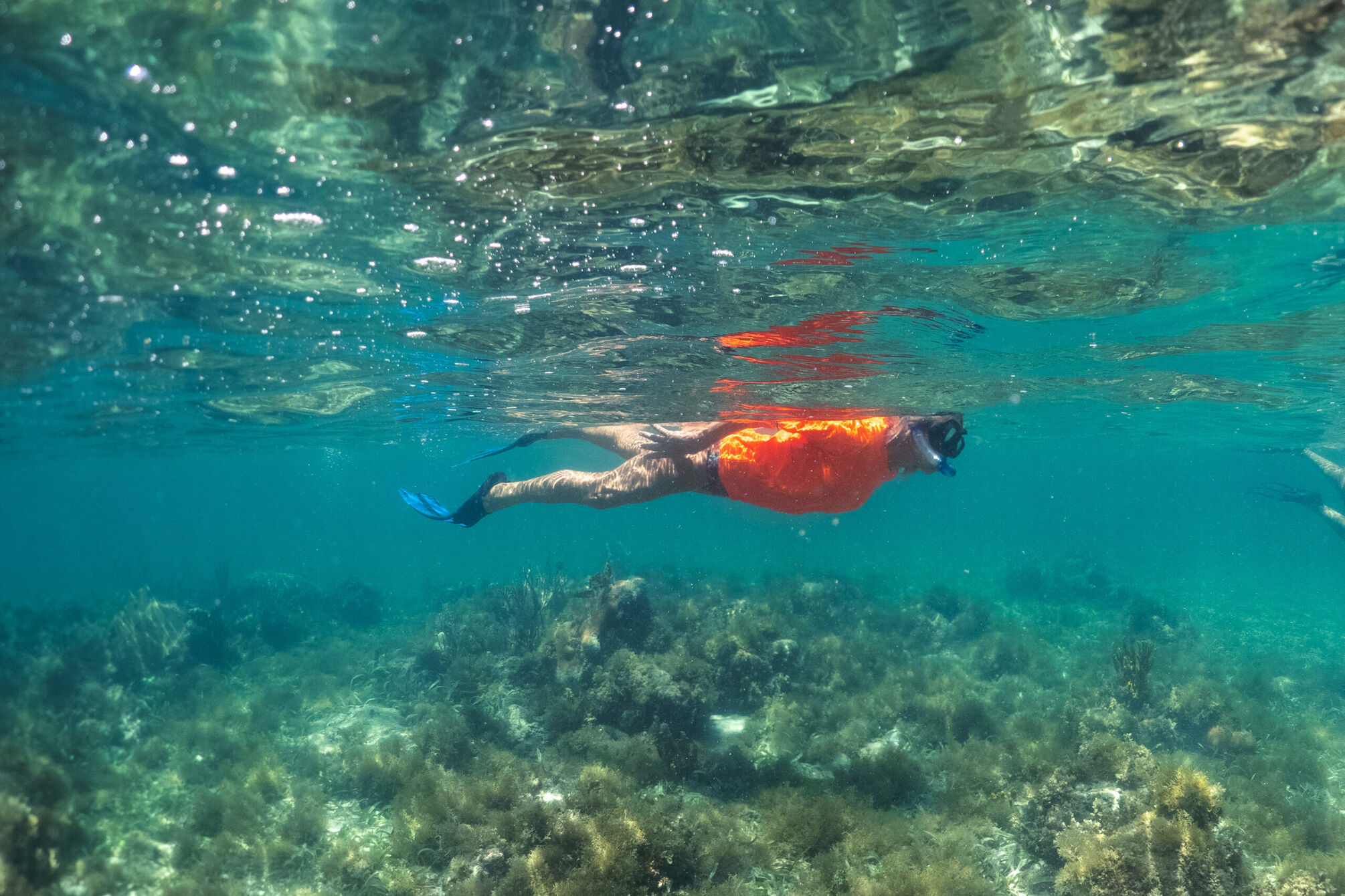 Snorkeling in Martinique