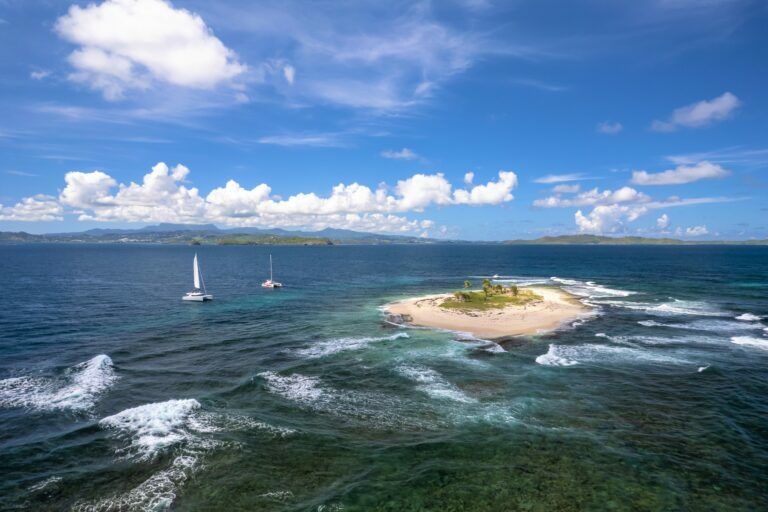 What are the regulations for the protected islets and nature reserves of Martinique?